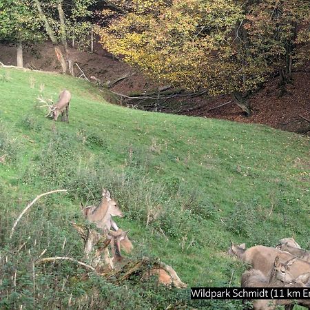 Eifel-Ferienhaus Landblick Hürtgenwald المظهر الخارجي الصورة