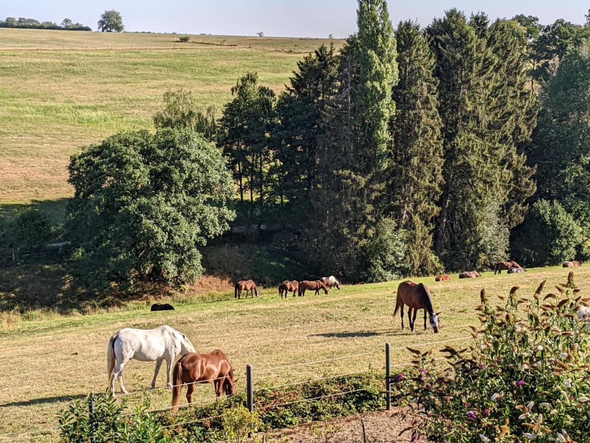 Eifel-Ferienhaus Landblick Hürtgenwald المظهر الخارجي الصورة