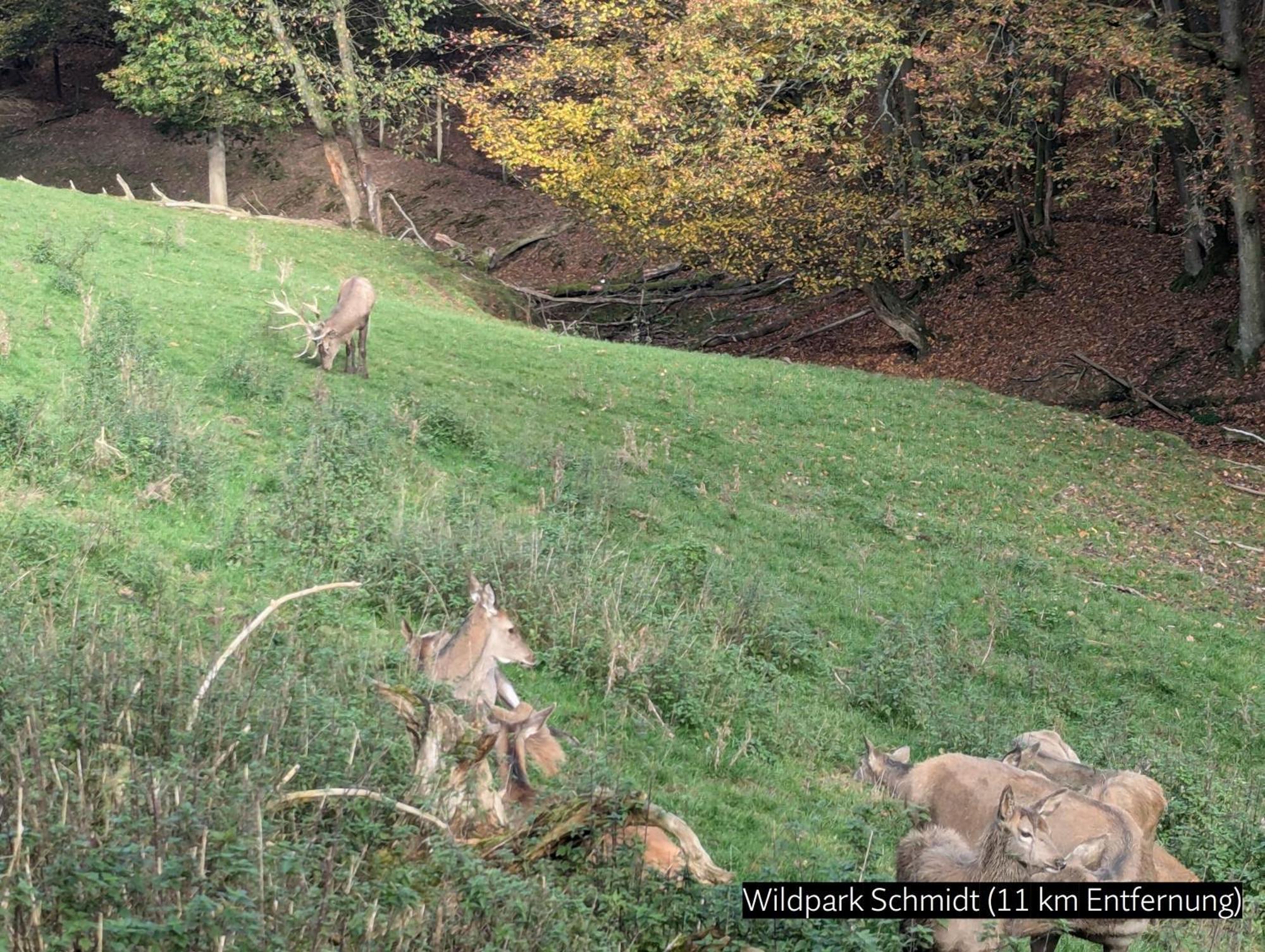 Eifel-Ferienhaus Landblick Hürtgenwald المظهر الخارجي الصورة